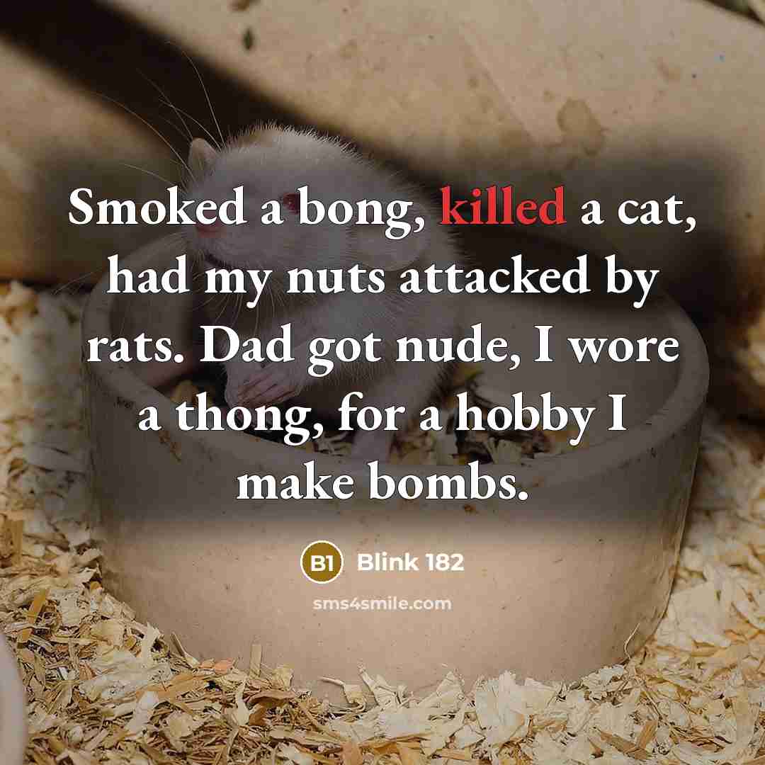 “Smoked a bong, killed a cat, had my nuts attacked…” quote by Blink 182