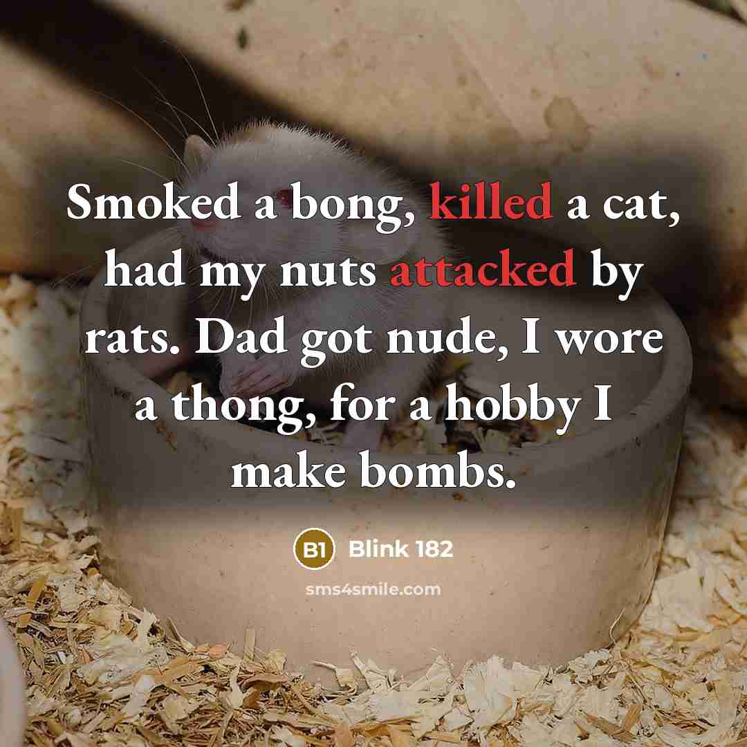 “Smoked a bong, killed a cat, had my nuts attacked by rats. Dad got nude, I wore a thong, for a hobby I make bombs.” quote by Blink 182