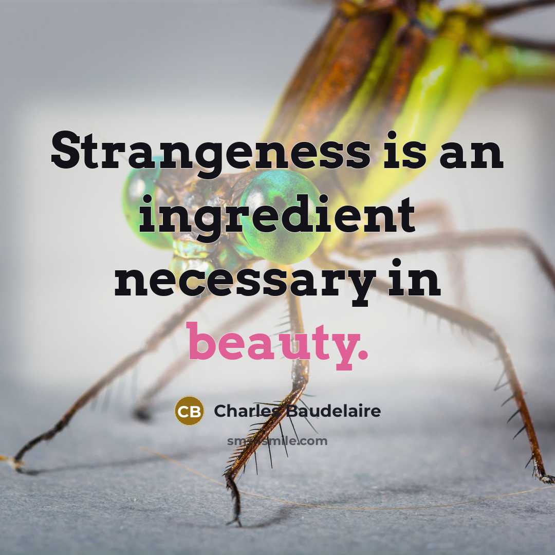 “Strangeness is an ingredient necessary in beauty.…” quote by Charles Baudelaire