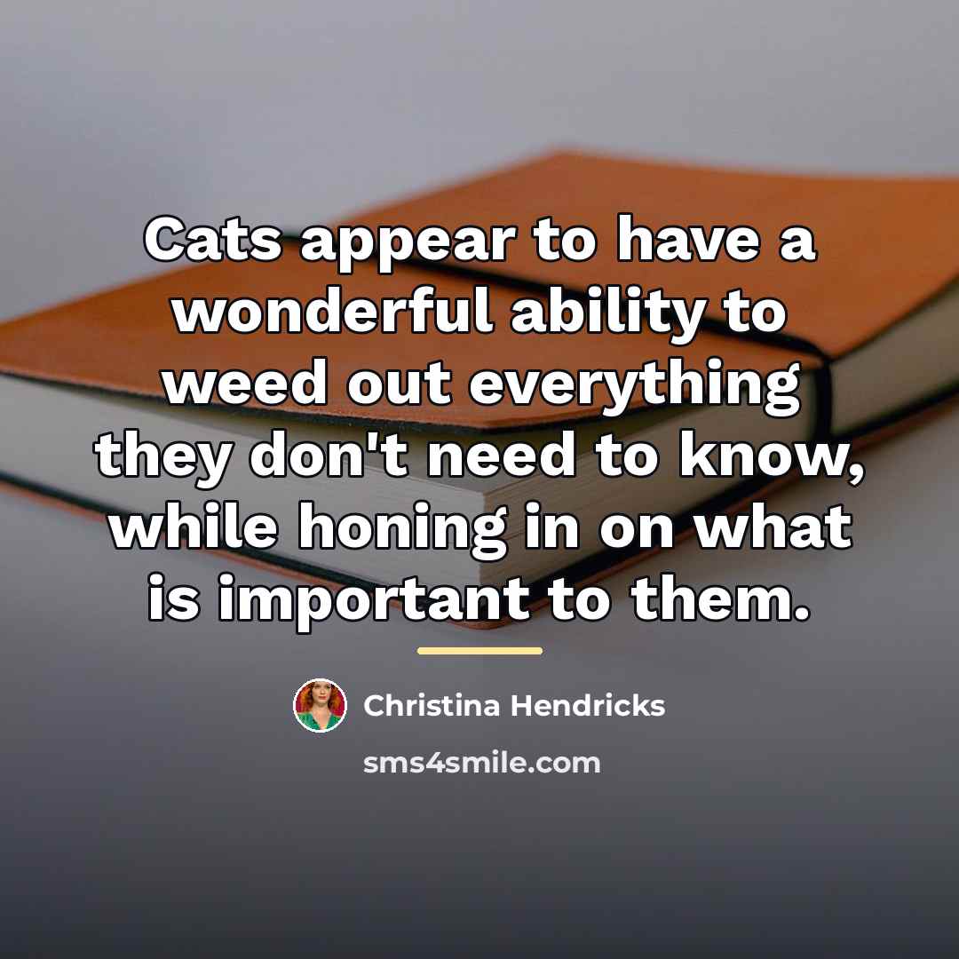 “Cats appear to have a wonderful ability to weed out…” quote by Christina Hendricks