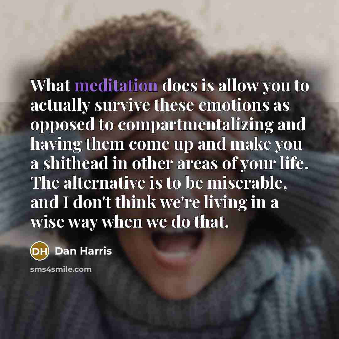 “What meditation does is allow you to actually survive these…” quote by Dan Harris