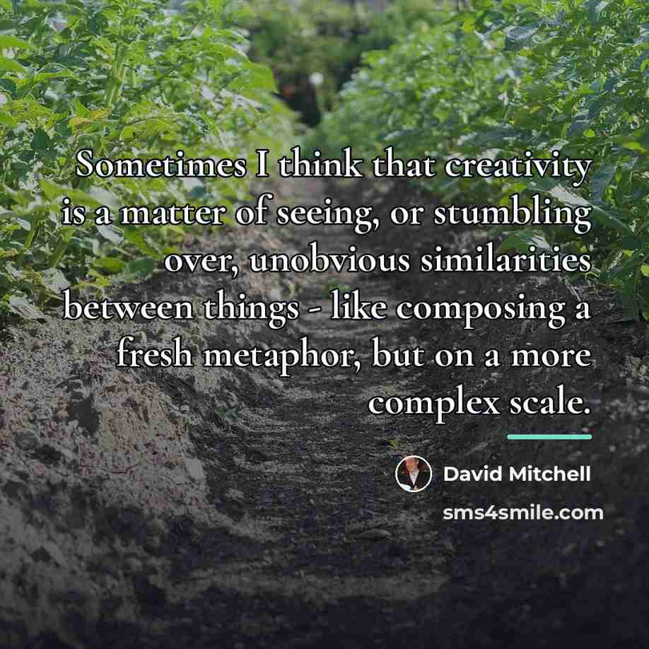 “Sometimes I think that creativity is a matter of seeing,…” quote by David Mitchell