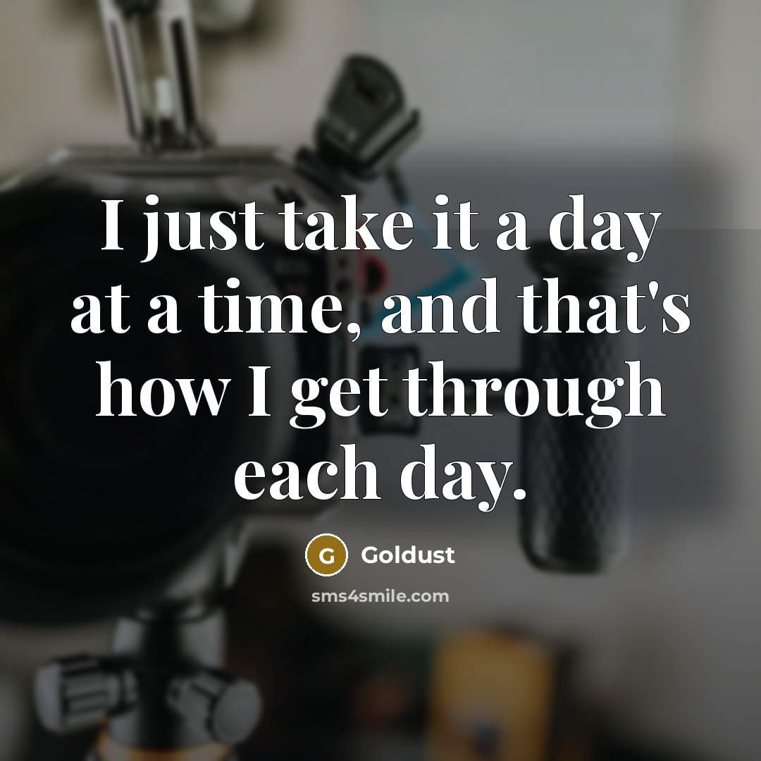 “I just take it a day at a time, and…” quote by Goldust