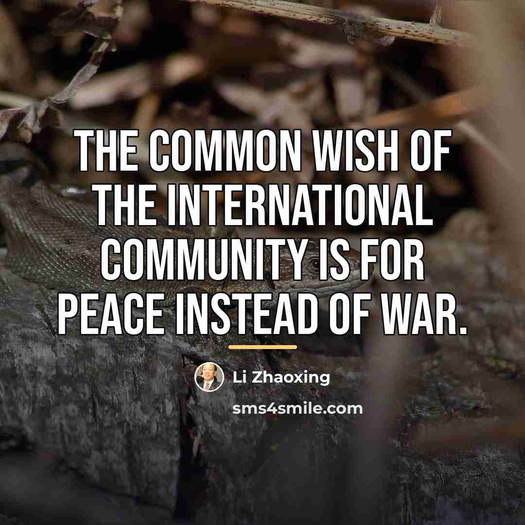 “The common wish of the international community is for peace…” quote by Li Zhaoxing