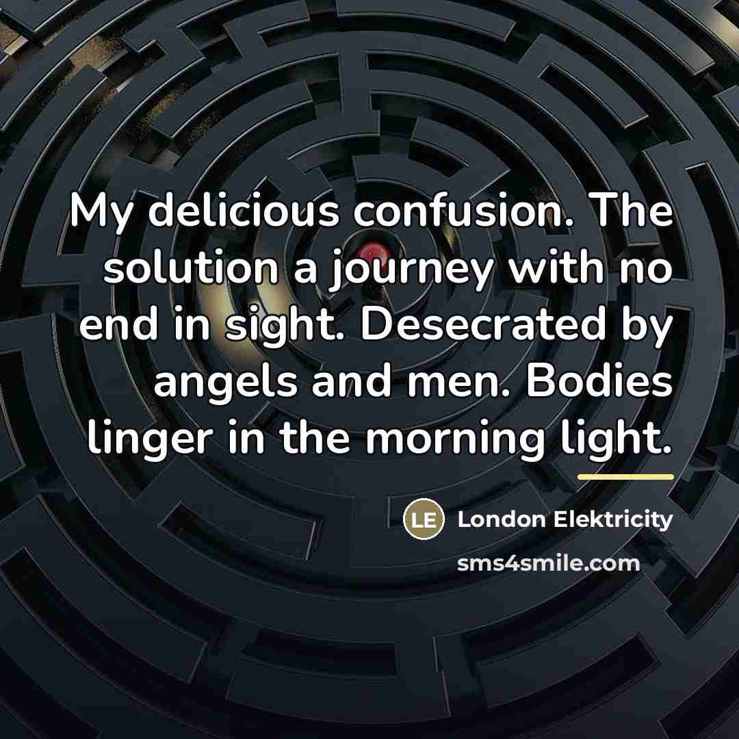 “My delicious confusion. The solution a journey with no end…” quote by London Elektricity
