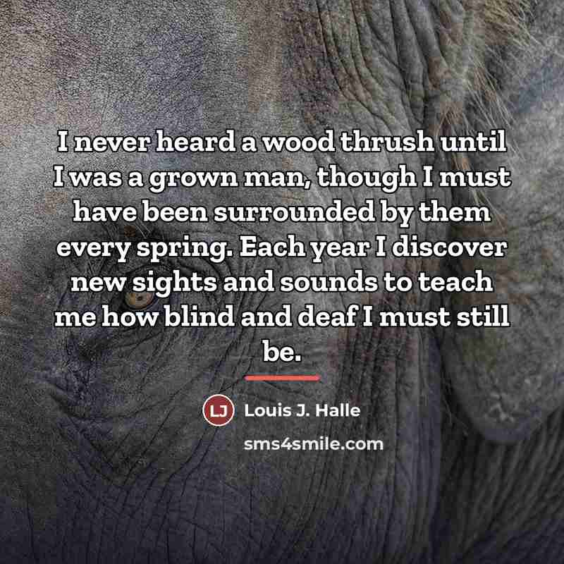 “I never heard a wood thrush until I was a…” quote by Louis J. Halle