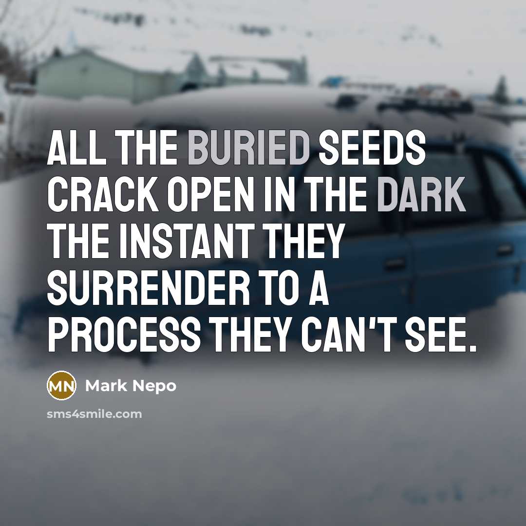 “All the buried seeds crack open in the dark the…” quote by Mark Nepo