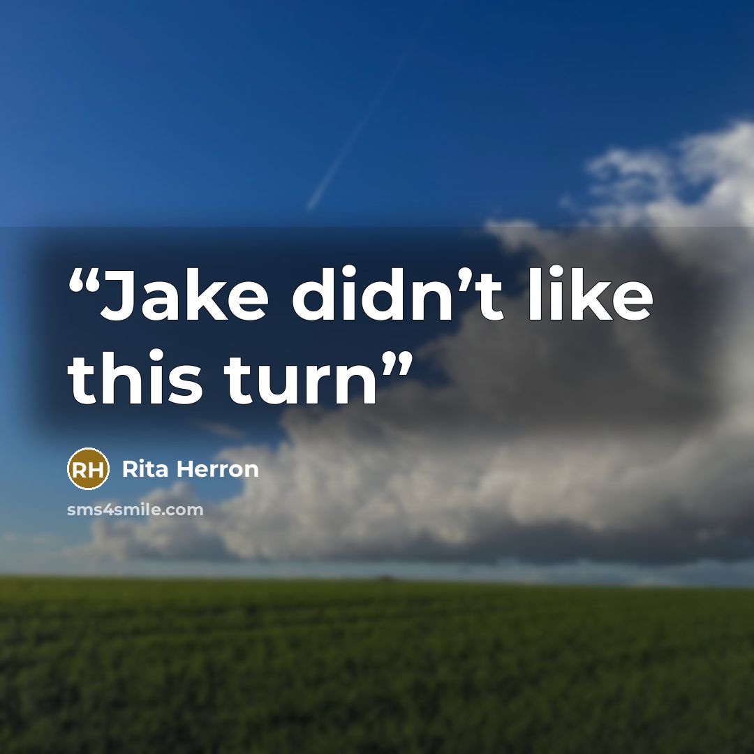 “Jake didn’t like this turn” quote by Rita Herron