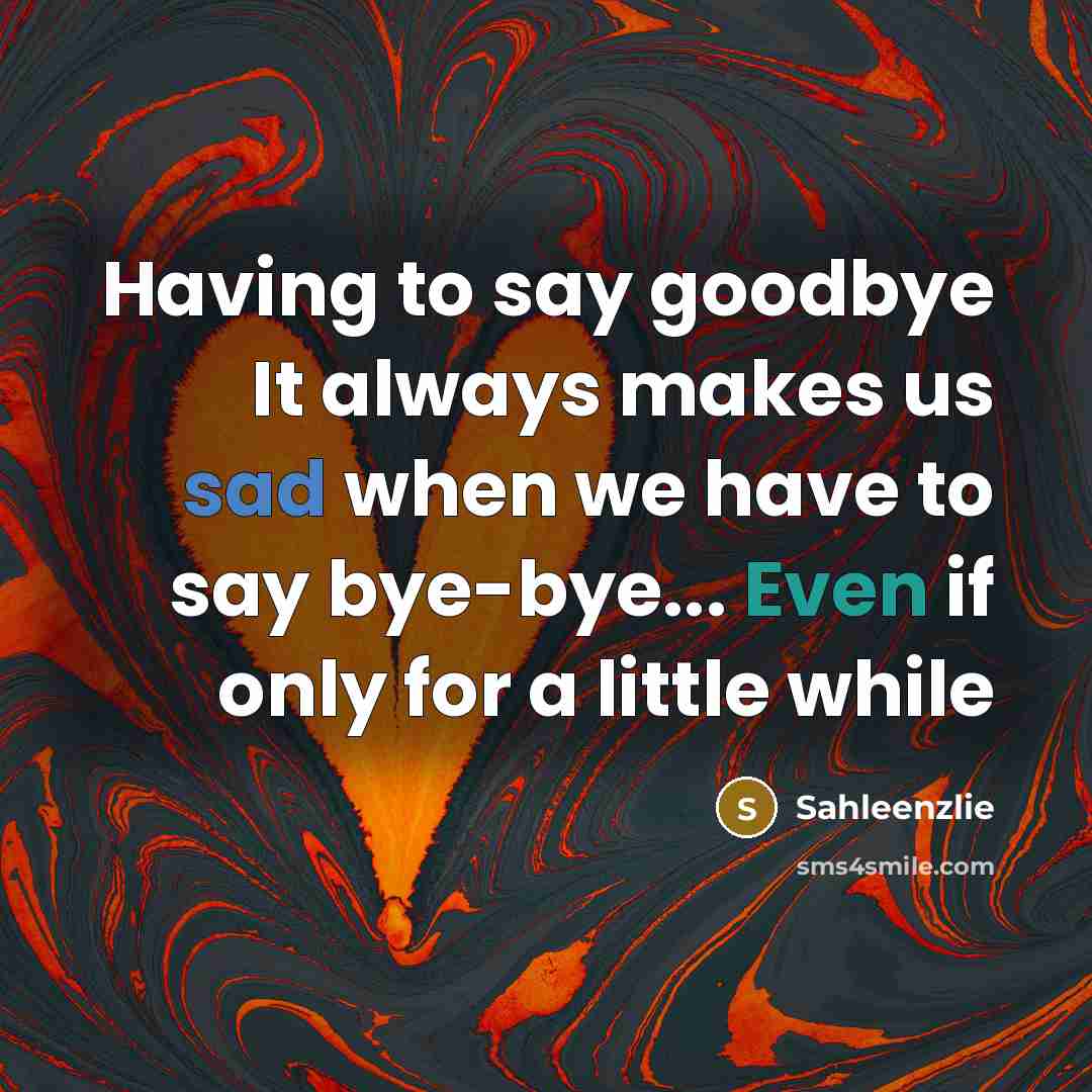 “Having to say goodbye It always makes us sad when…” quote by Sahleenzlie