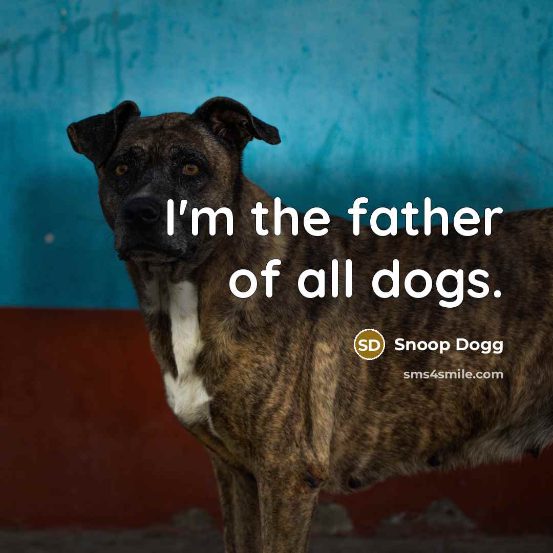 “I'm the father of all dogs.…” quote by Snoop Dogg