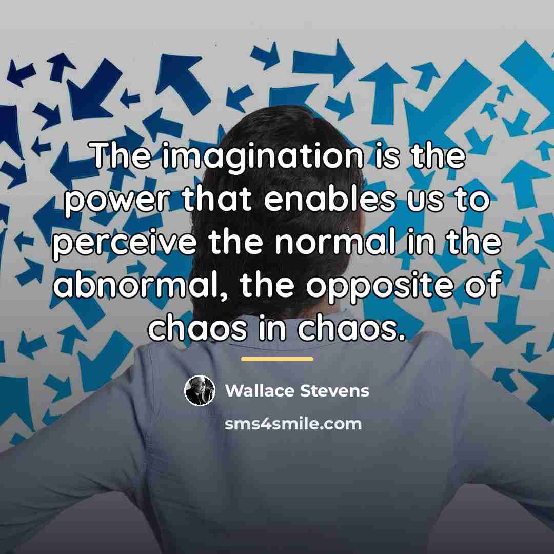 “The imagination is the power that enables us to perceive…” quote by Wallace Stevens
