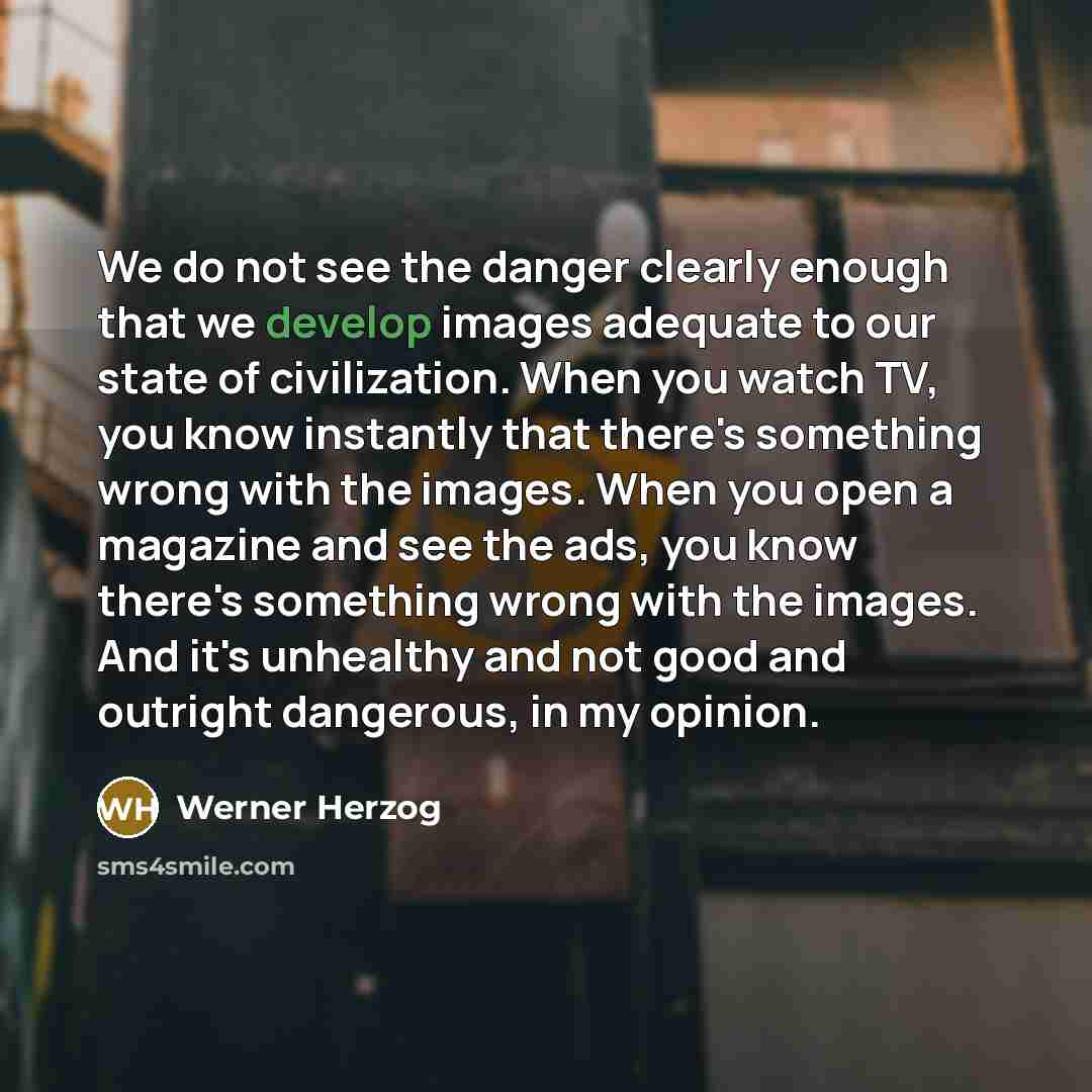 “We do not see the danger clearly enough that we…” quote by Werner Herzog