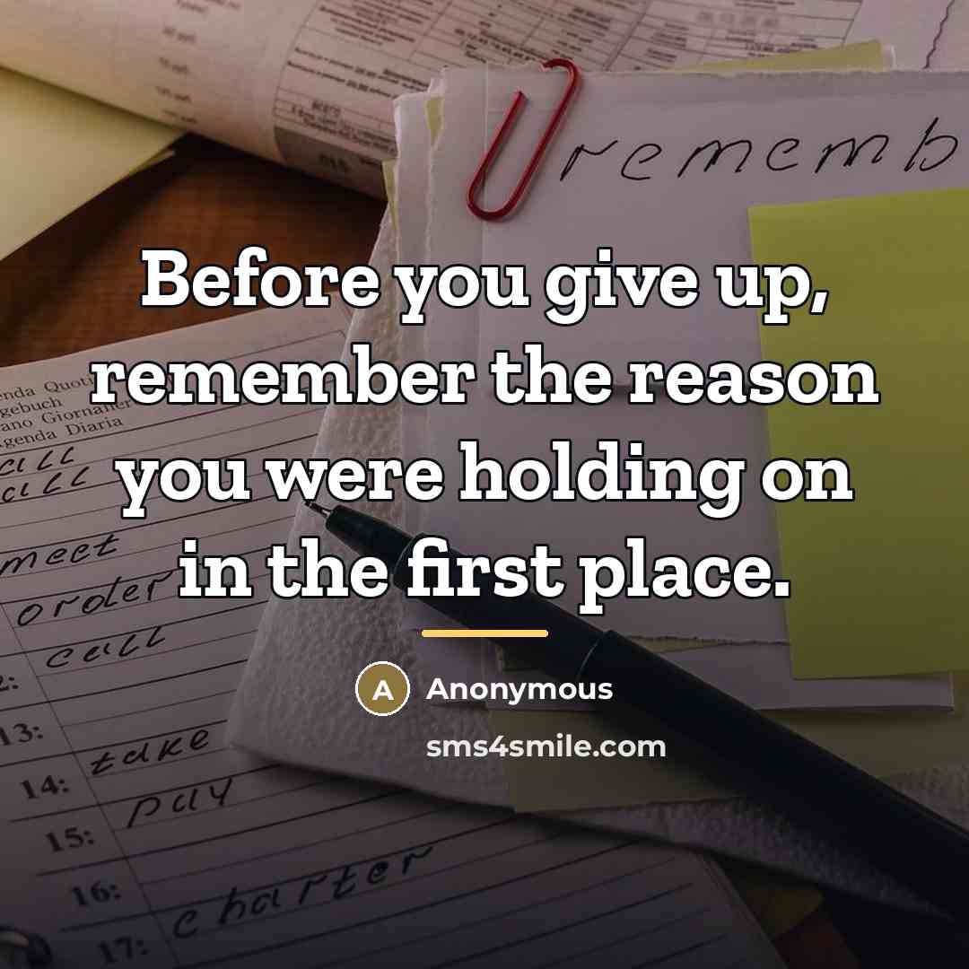“Before you give up, remember the reason you were holding…” quote by Anonymous
