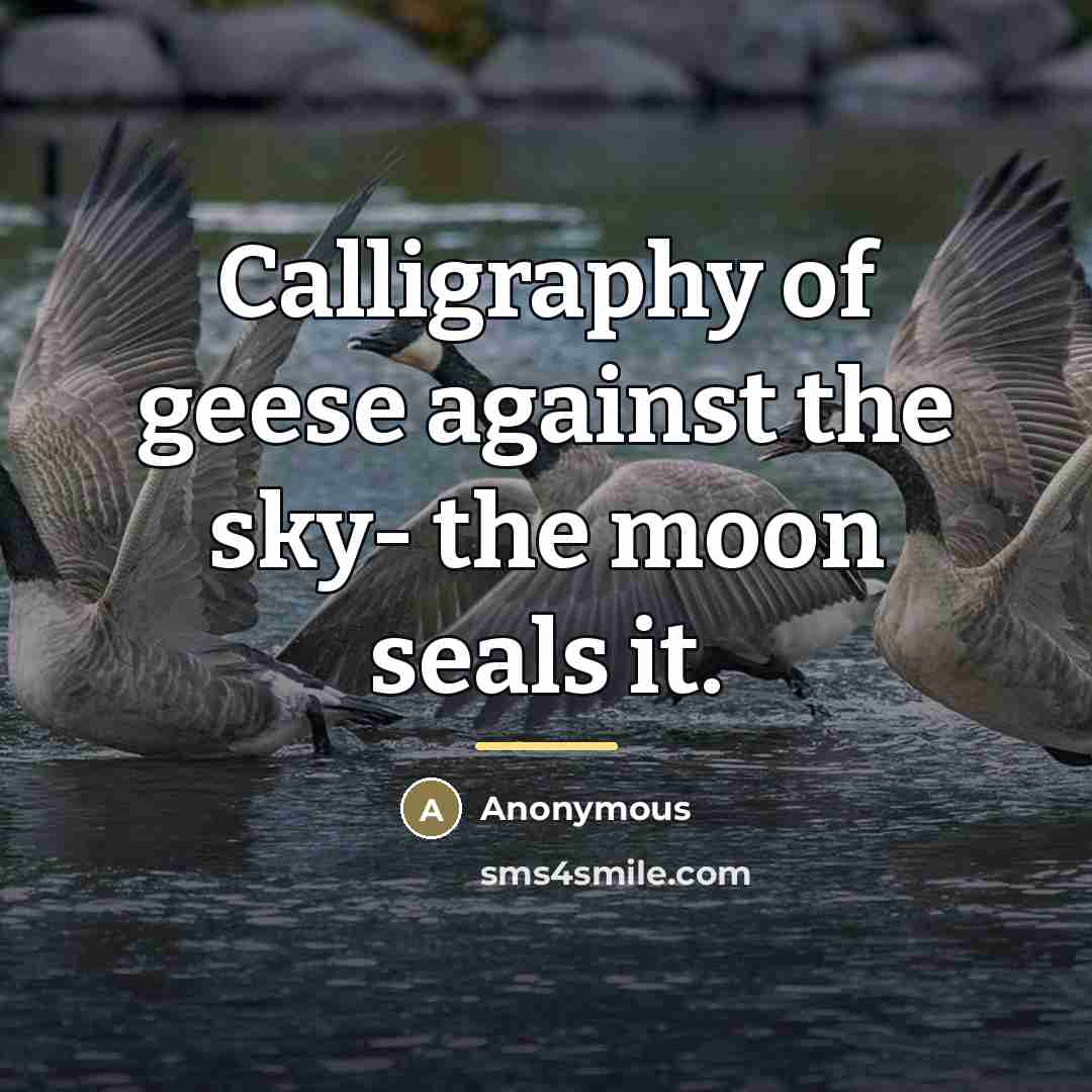 “Calligraphy of geese against the sky- the moon seals it.…” quote by Anonymous