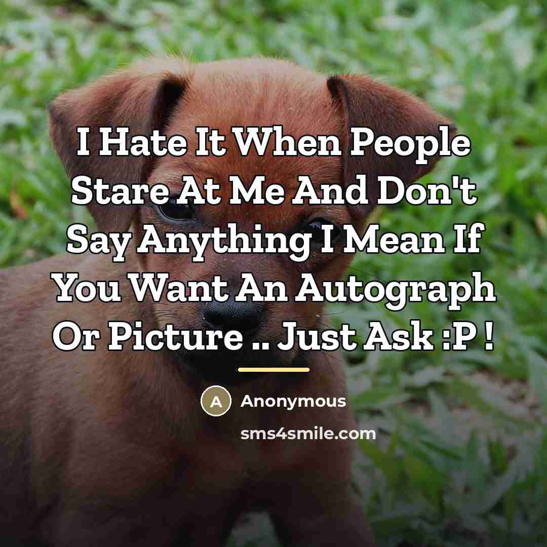 “I Hate It When People Stare At Me And Don't…” quote by Anonymous