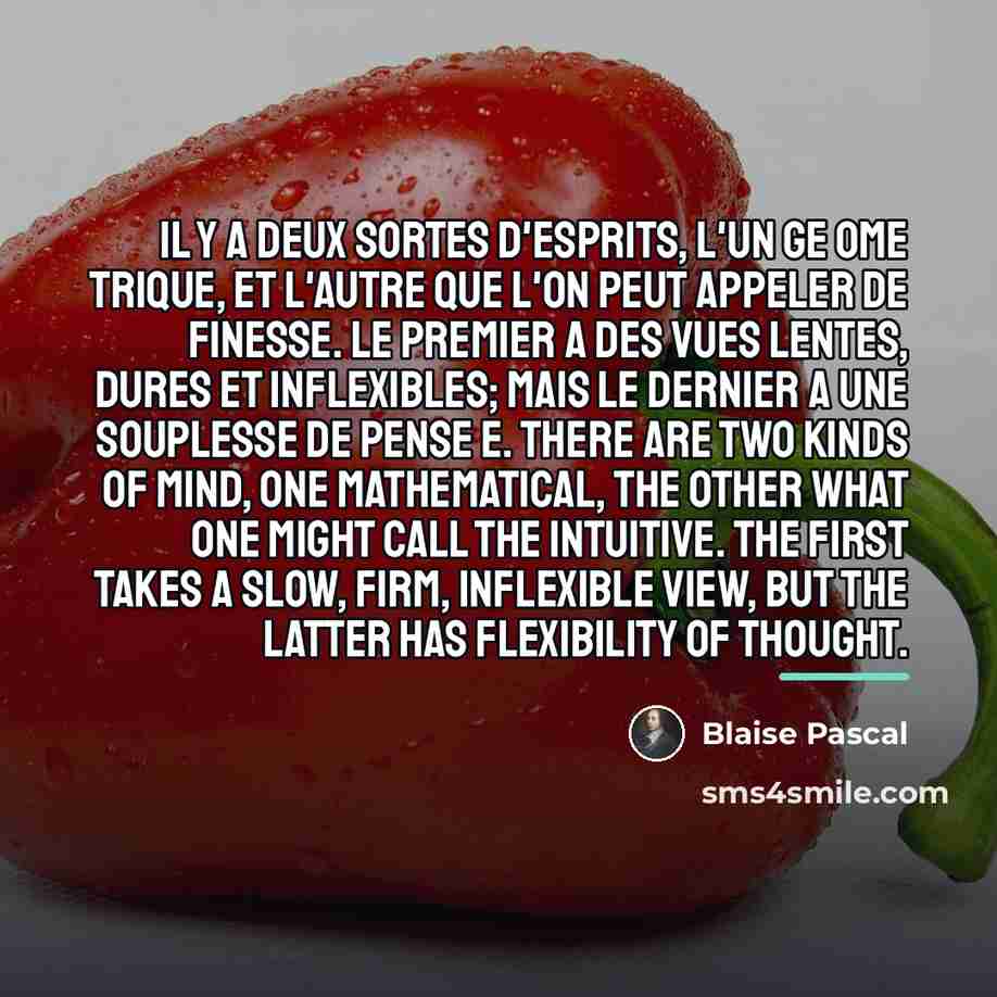 “Il y a deux sortes d'esprits, l'un ge ome trique,…” quote by Blaise Pascal