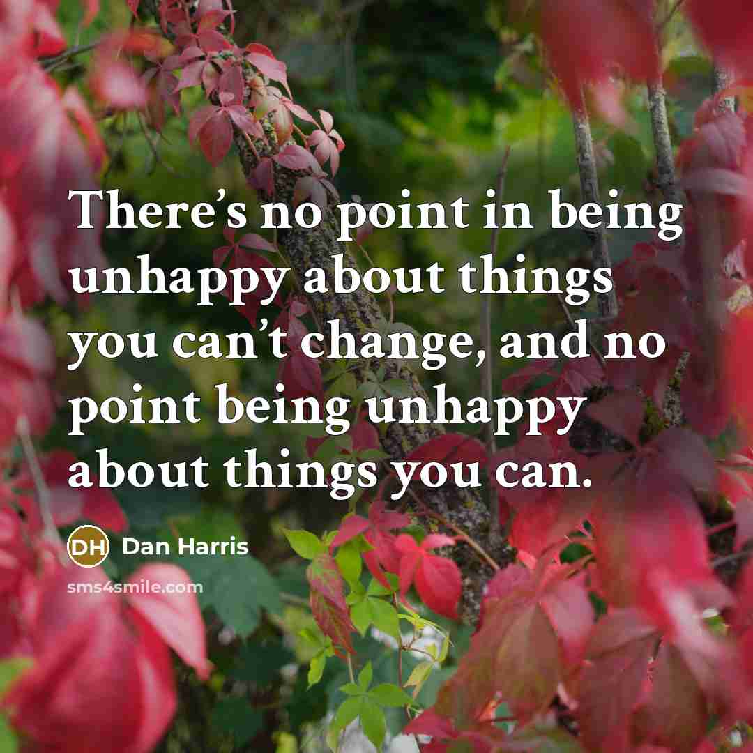 “There’s no point in being unhappy about things you can’t…” quote by Dan Harris