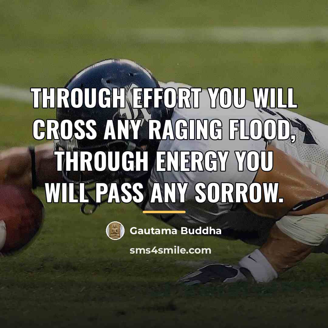 “Through effort you will cross any raging flood, through energy…” quote by Gautama Buddha