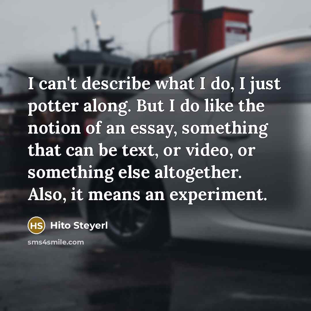 “I can't describe what I do, I just potter along. But I do like the notion of an essay, something that can be text, or video, or something else altogether. Also, it means an experiment.” quote by Hito Steyerl