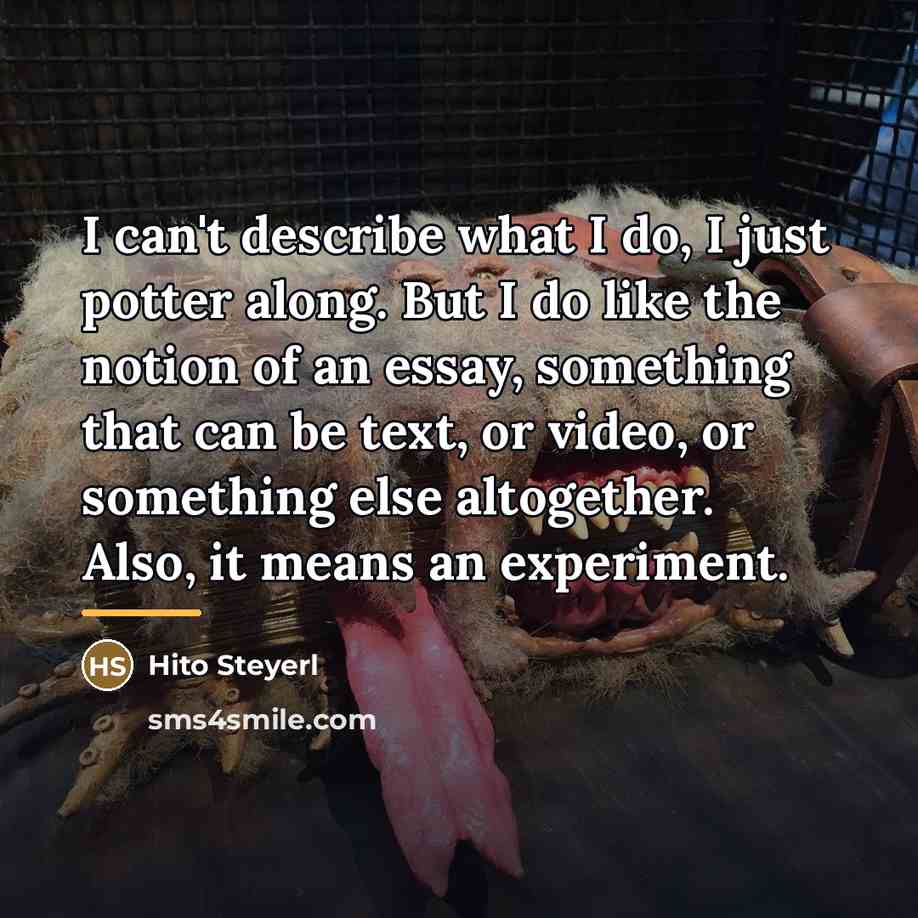 “I can't describe what I do, I just potter along.…” quote by Hito Steyerl