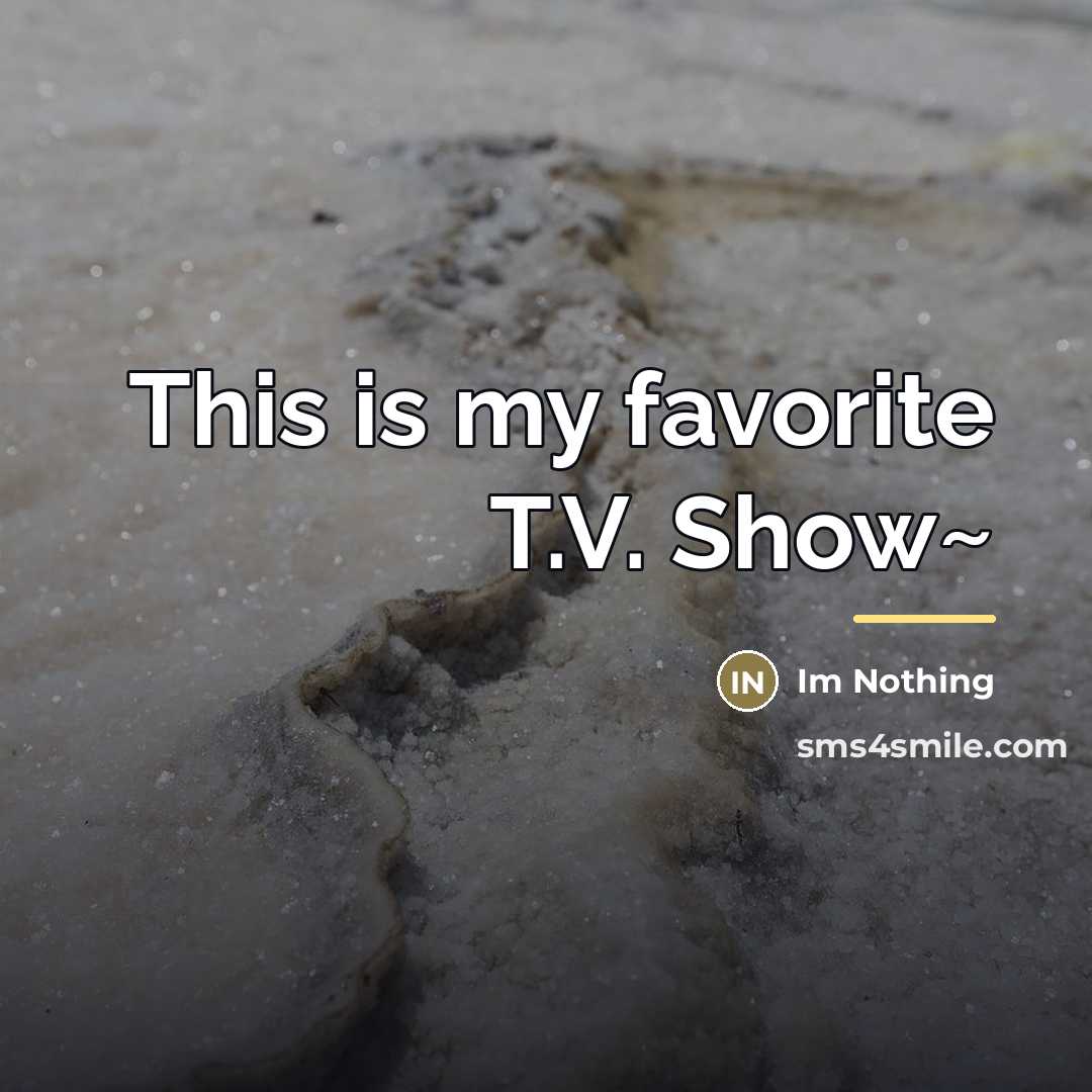 “This is my favorite T.V. Show~…” quote by Im Nothing