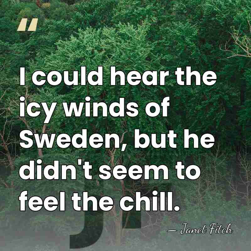 I could hear the icy winds of Sweden, but he didn't seem&hellip; - Janet Fitch