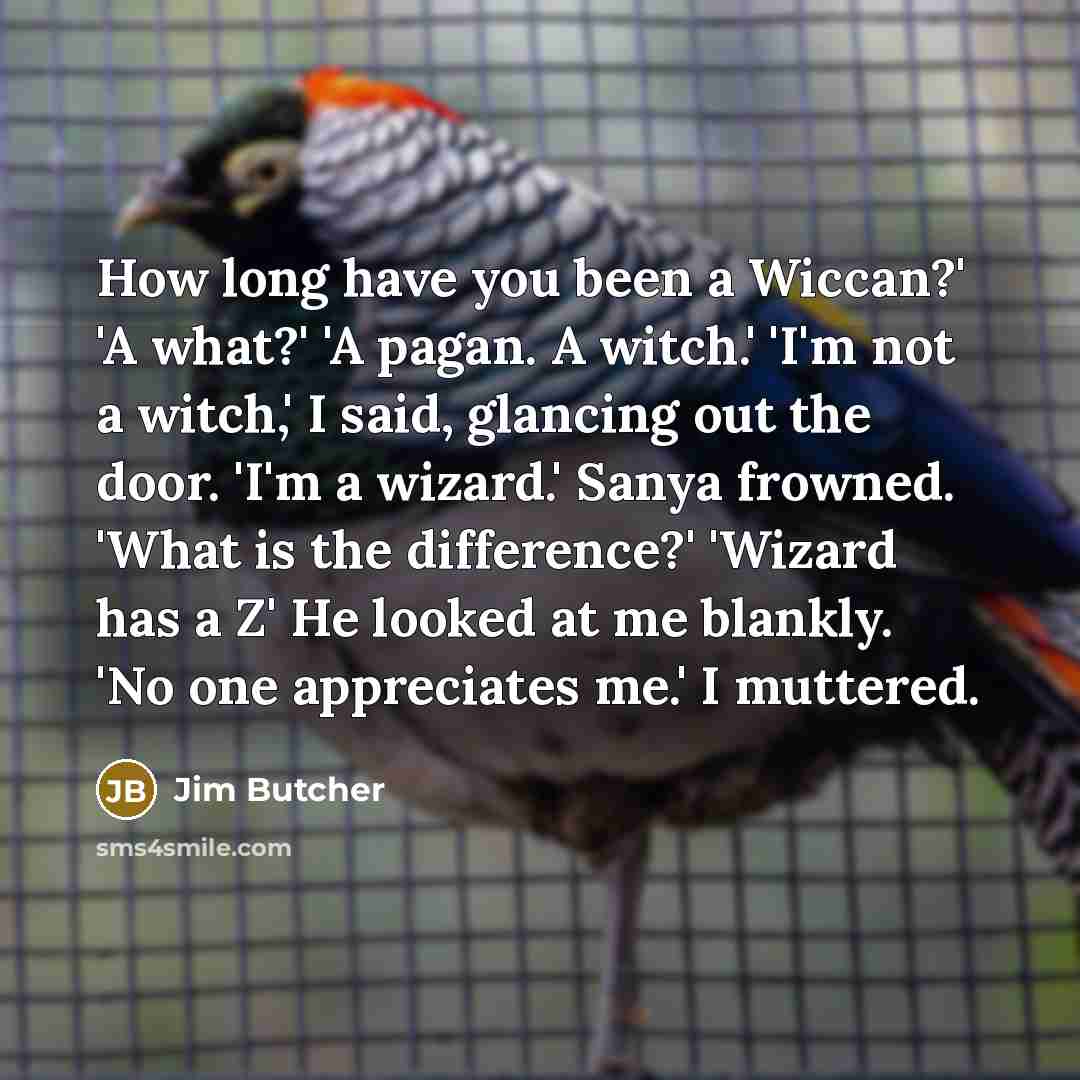 “How long have you been a Wiccan?' 'A what?' 'A…” quote by Jim Butcher