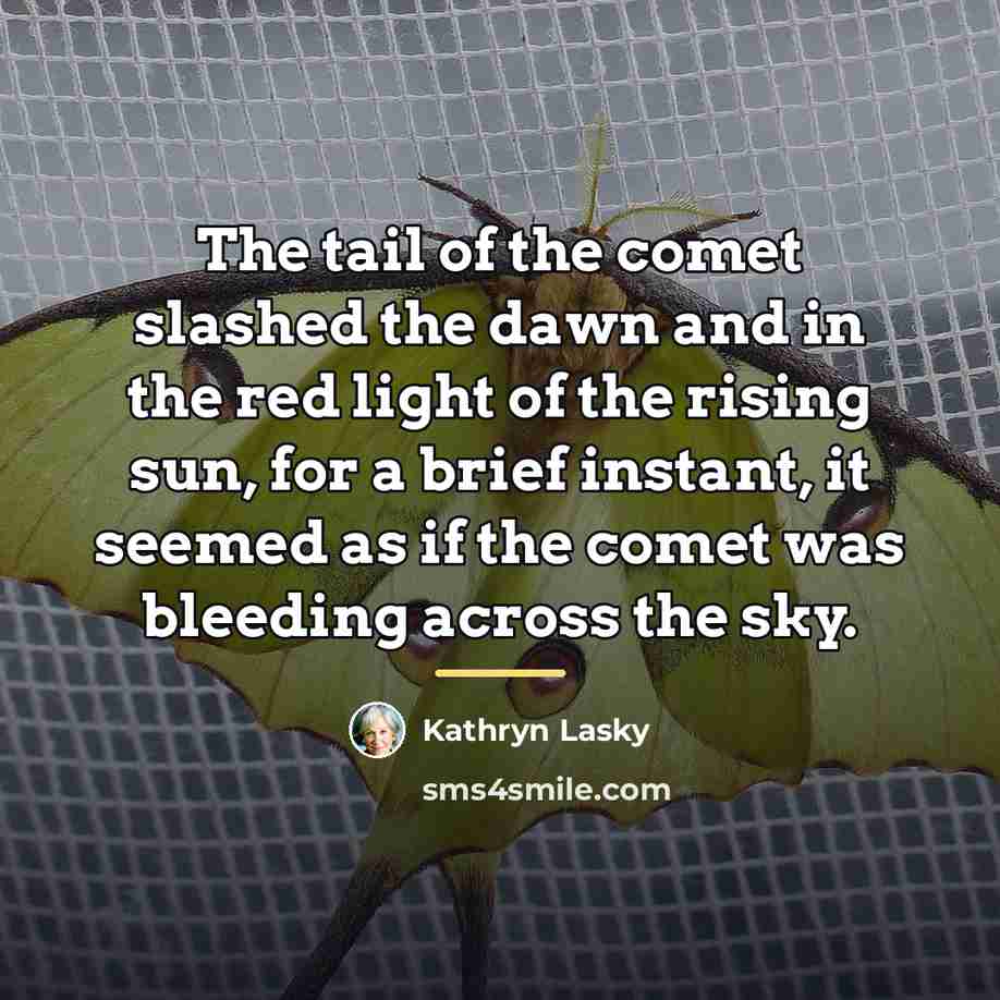 “The tail of the comet slashed the dawn and in…” quote by Kathryn Lasky