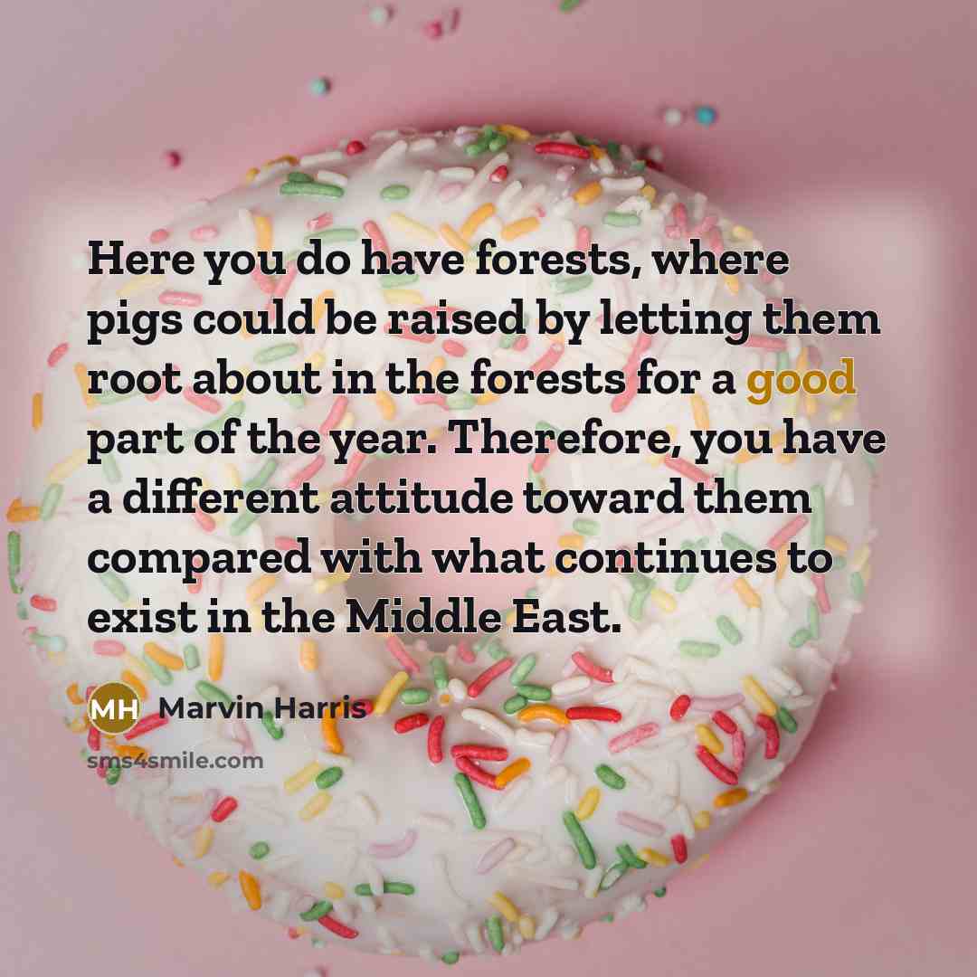 “Here you do have forests, where pigs could be raised…” quote by Marvin Harris