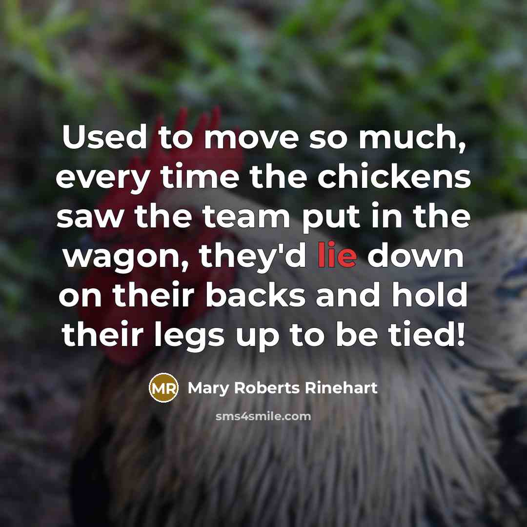 “Used to move so much, every time the chickens saw the team put in the wagon, they'd lie down on their backs and hold their legs up to be tied!” quote by Mary Roberts Rinehart