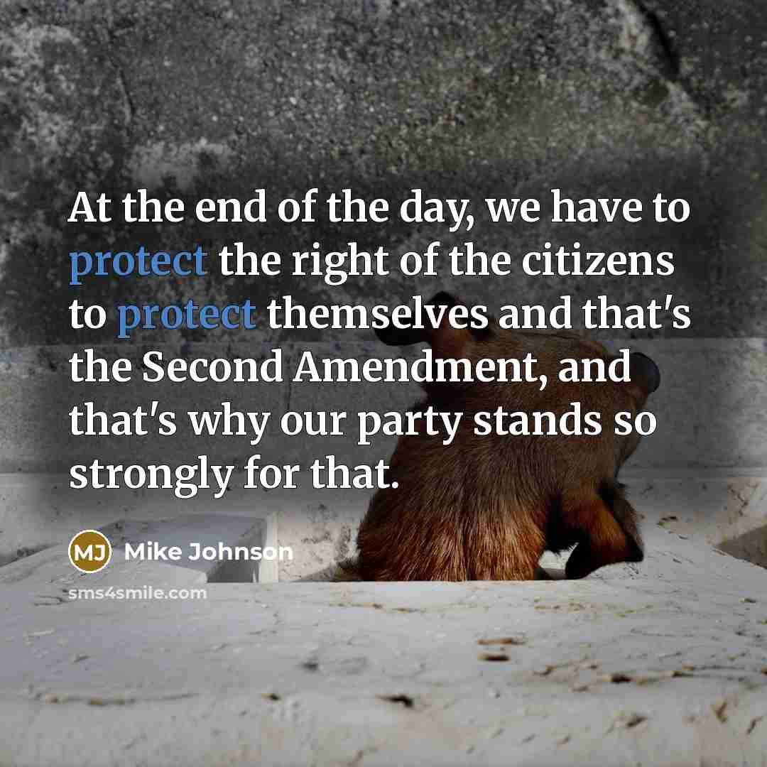 “At the end of the day, we have to protect…” quote by Mike Johnson