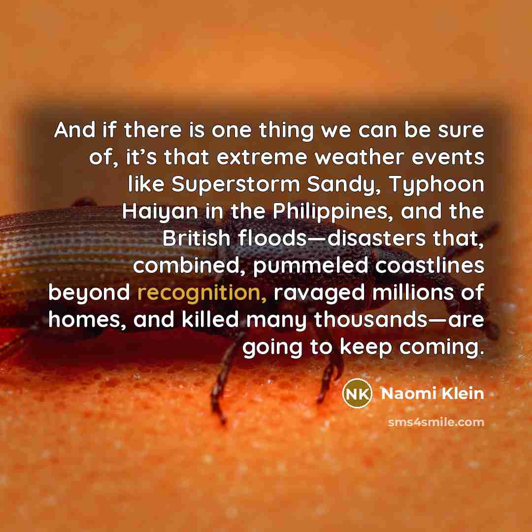 “And if there is one thing we can be sure…” quote by Naomi Klein