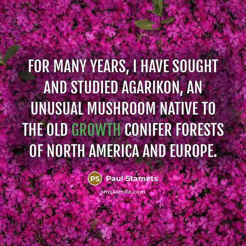 “For many years, I have sought and studied Agarikon, an…” quote by Paul Stamets