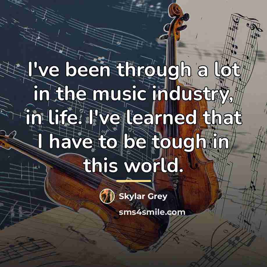 “I've been through a lot in the music industry, in…” quote by Skylar Grey