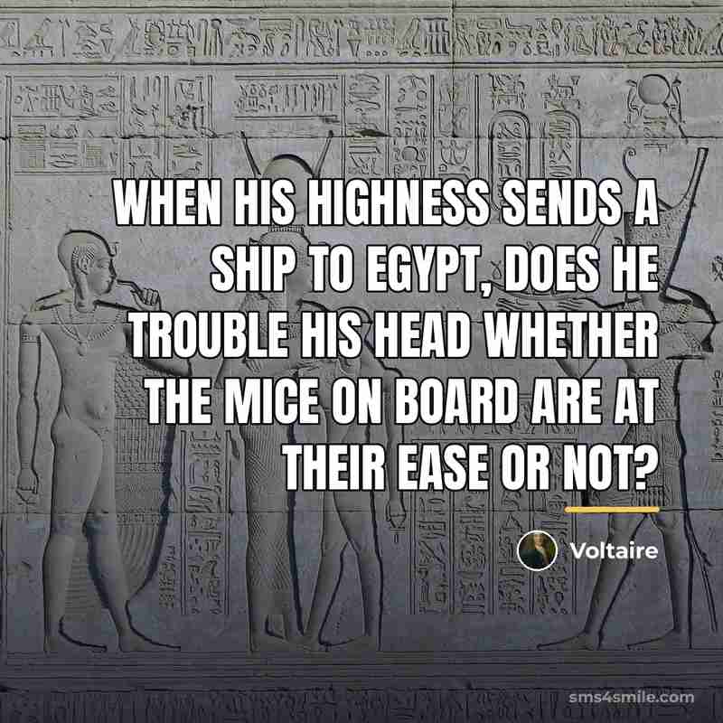 “When his highness sends a ship to Egypt, does he…” quote by Voltaire
