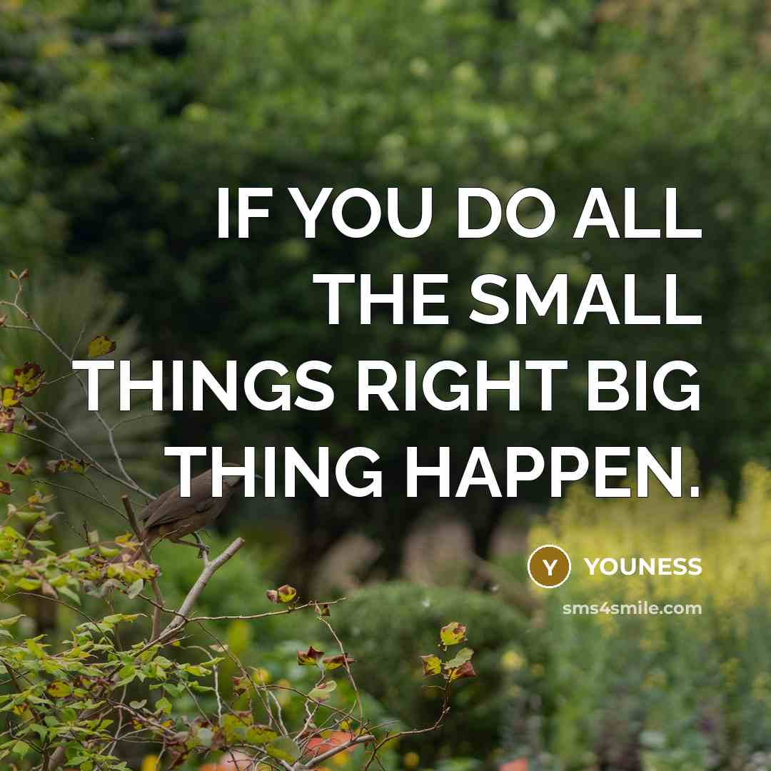 “IF YOU DO ALL THE SMALL THINGS RIGHT BIG THING…” quote by YOUNESS