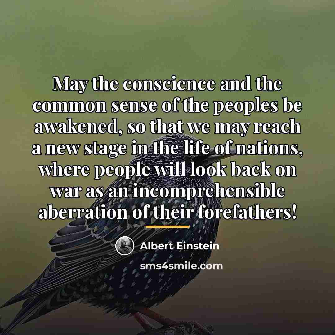 “May the conscience and the common sense of the peoples…” quote by Albert Einstein