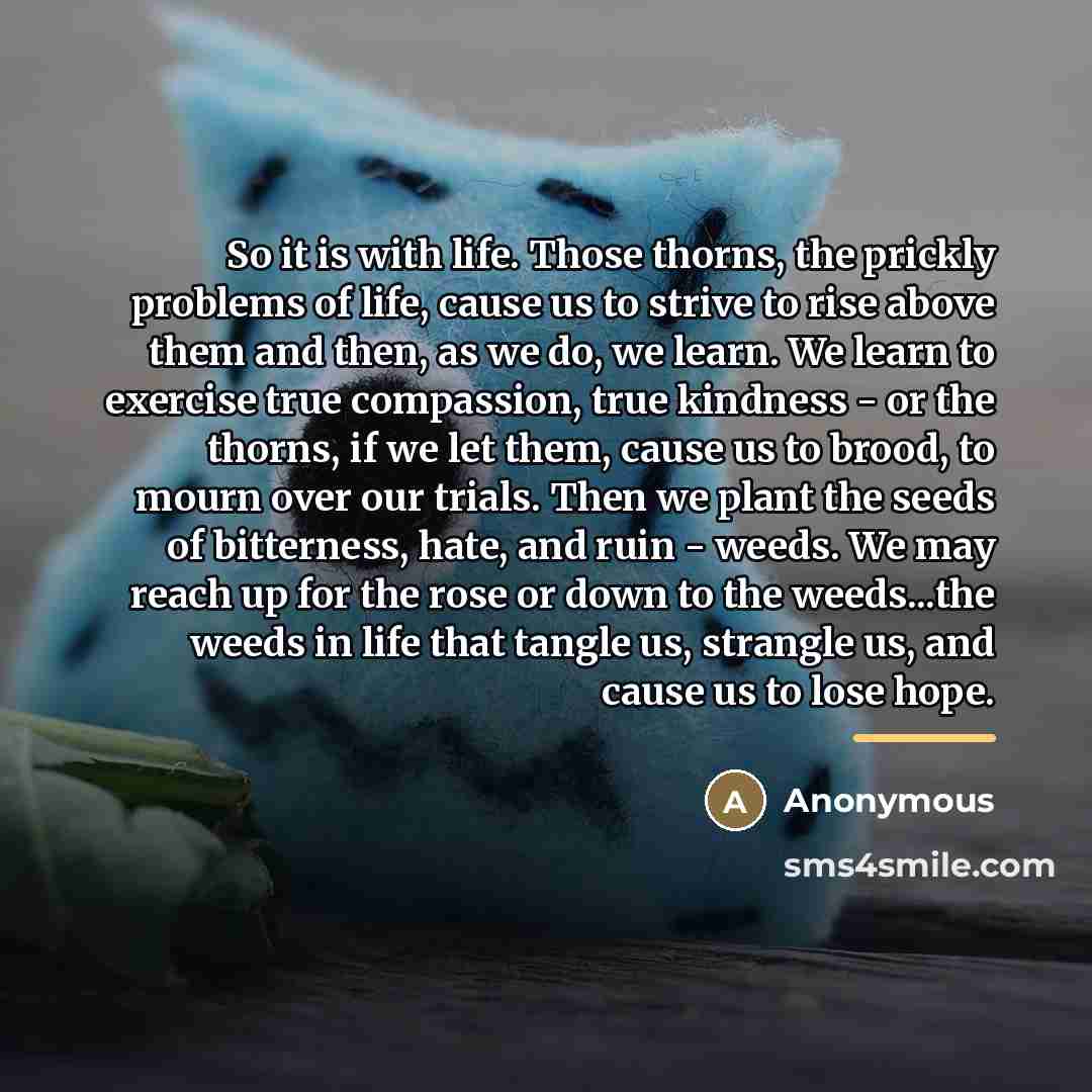 “So it is with life. Those thorns, the prickly problems…” quote by Anonymous