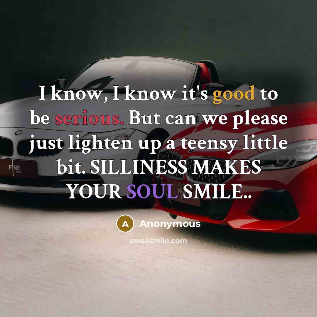 “I know, I know it's good to be serious. But can we please just lighten up a teensy little bit. SILLINESS MAKES YOUR SOUL SMILE..” quote by Anonymous