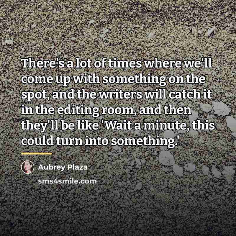 “There's a lot of times where we'll come up with…” quote by Aubrey Plaza