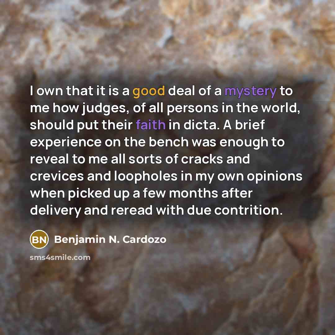 “I own that it is a good deal of a…” quote by Benjamin N. Cardozo