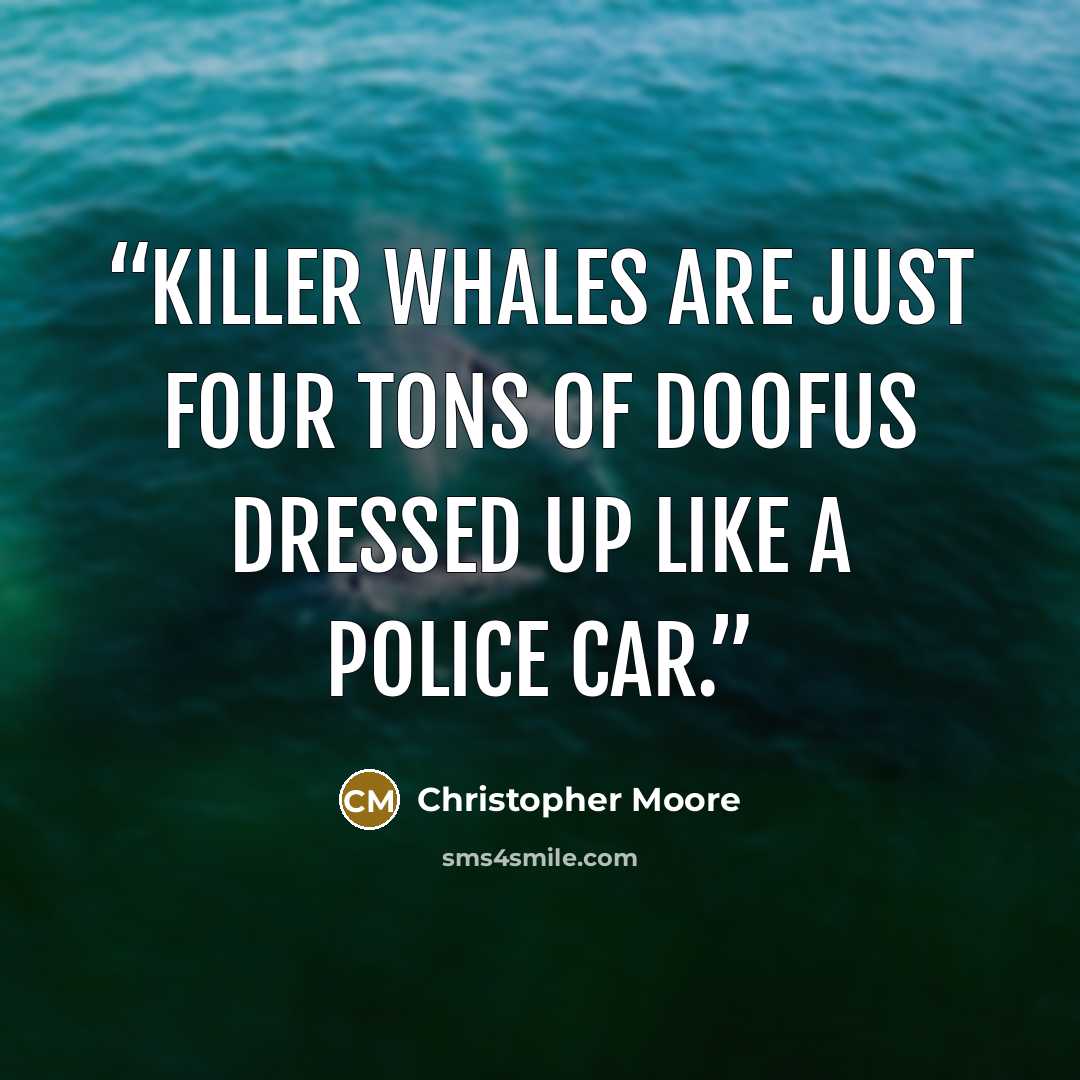 “killer whales are just four tons of doofus dressed up like a police car.” quote by Christopher Moore