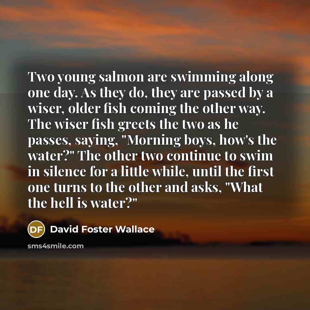 “Two young salmon are swimming along one day. As they…” quote by David Foster Wallace