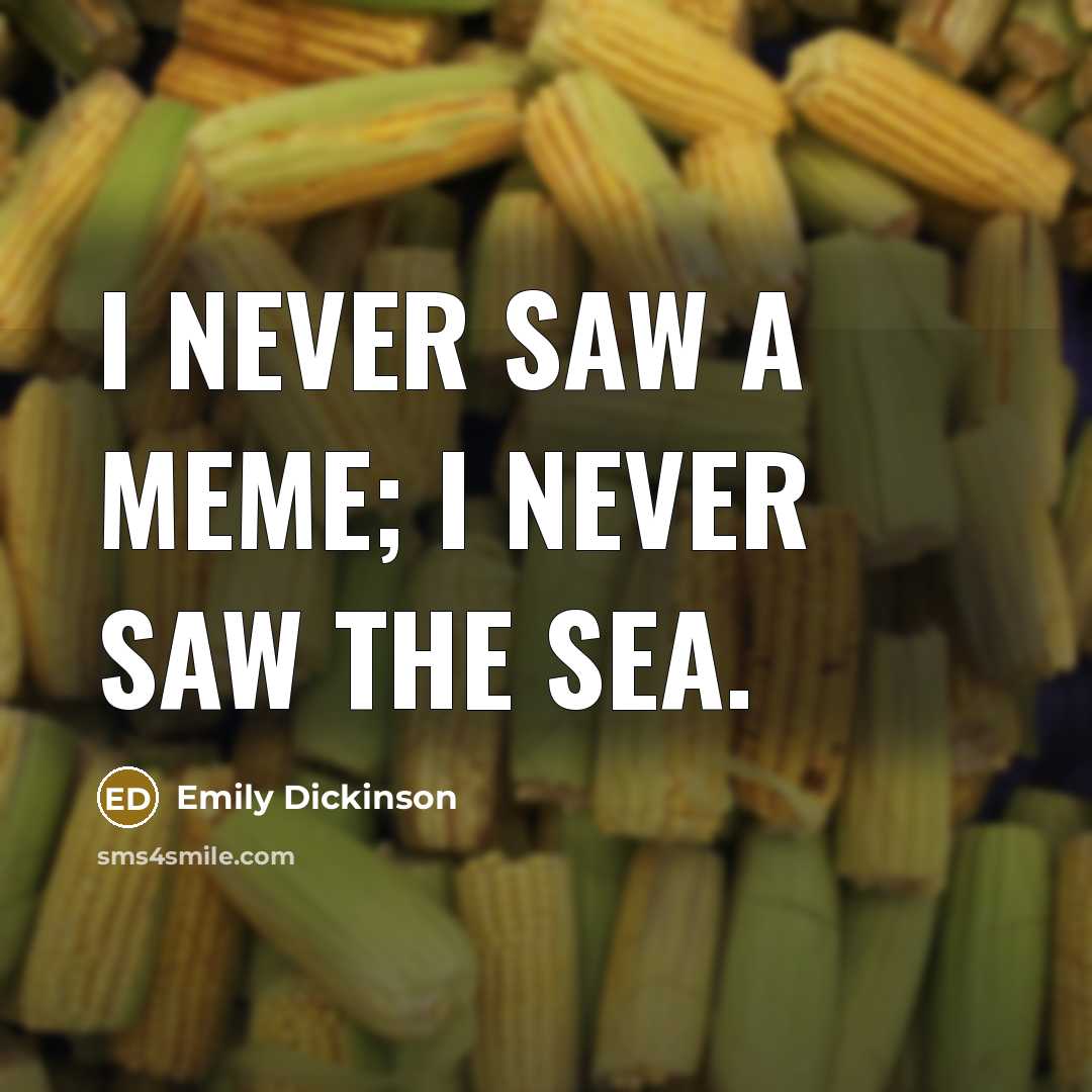 “I never saw a meme; I never saw the sea.” quote by Emily Dickinson
