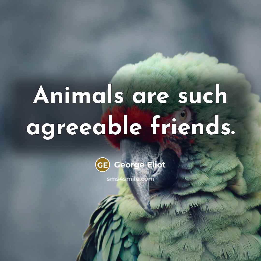 “Animals are such agreeable friends.…” quote by George Eliot