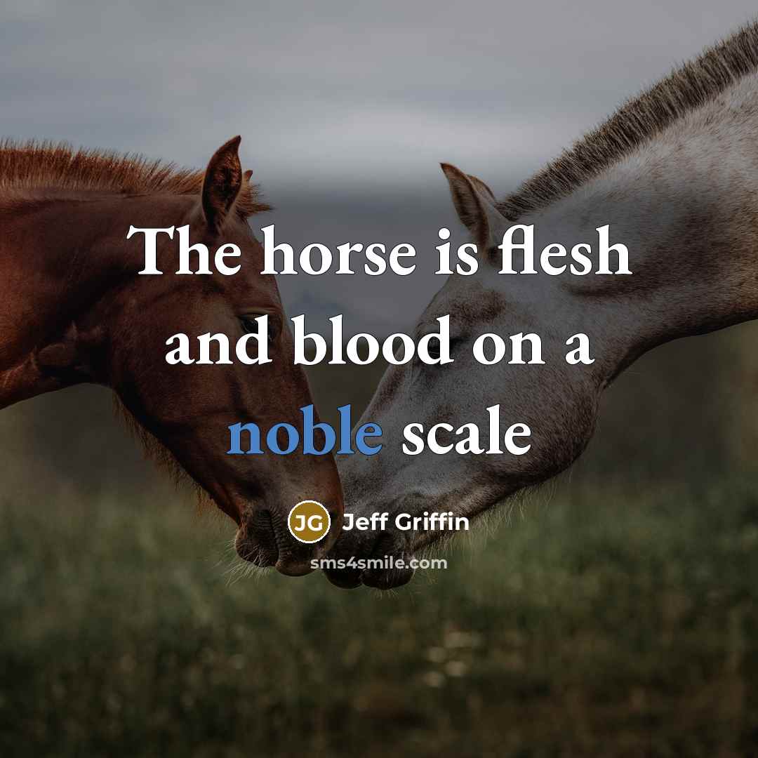 “The horse is flesh and blood on a noble scale” quote by Jeff Griffin