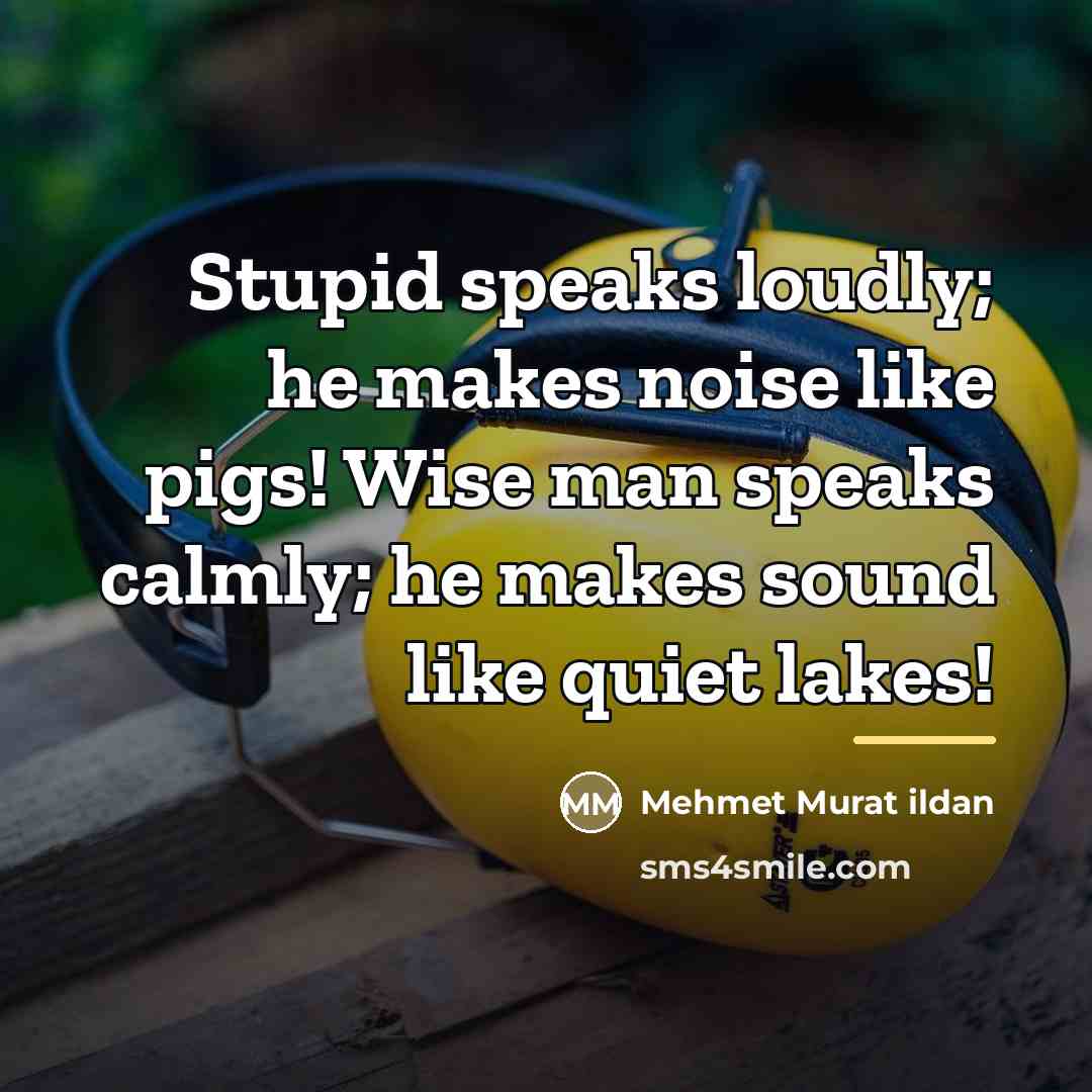 “Stupid speaks loudly; he makes noise like pigs! Wise man…” quote by Mehmet Murat Ildan