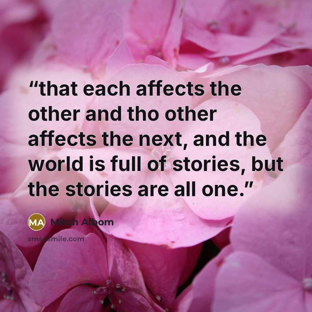 “that each affects the other and tho other affects the next, and the world is full of stories, but the stories are all one.” quote by Mitch Albom