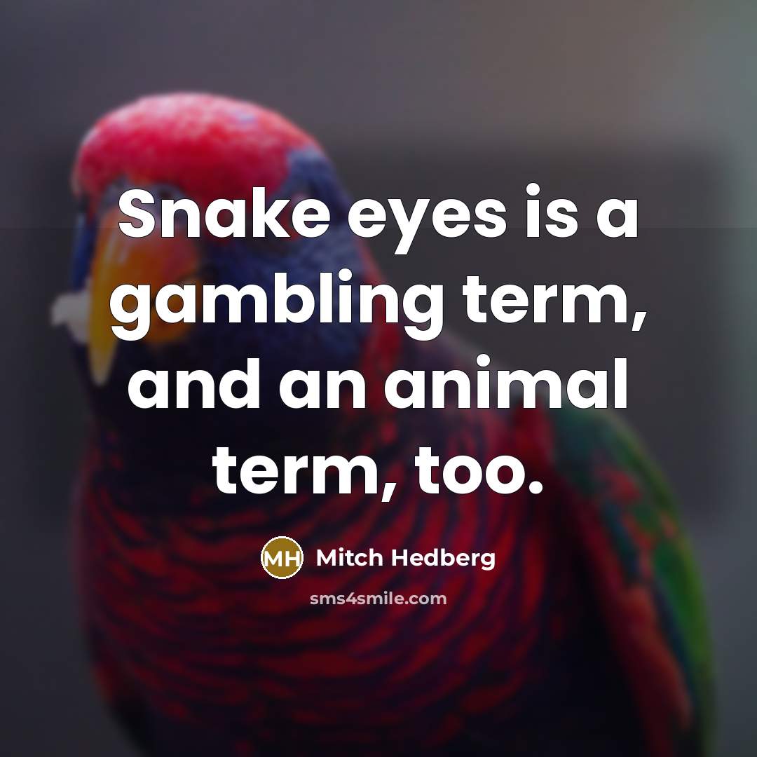 “Snake eyes is a gambling term, and an animal term,…” quote by Mitch Hedberg