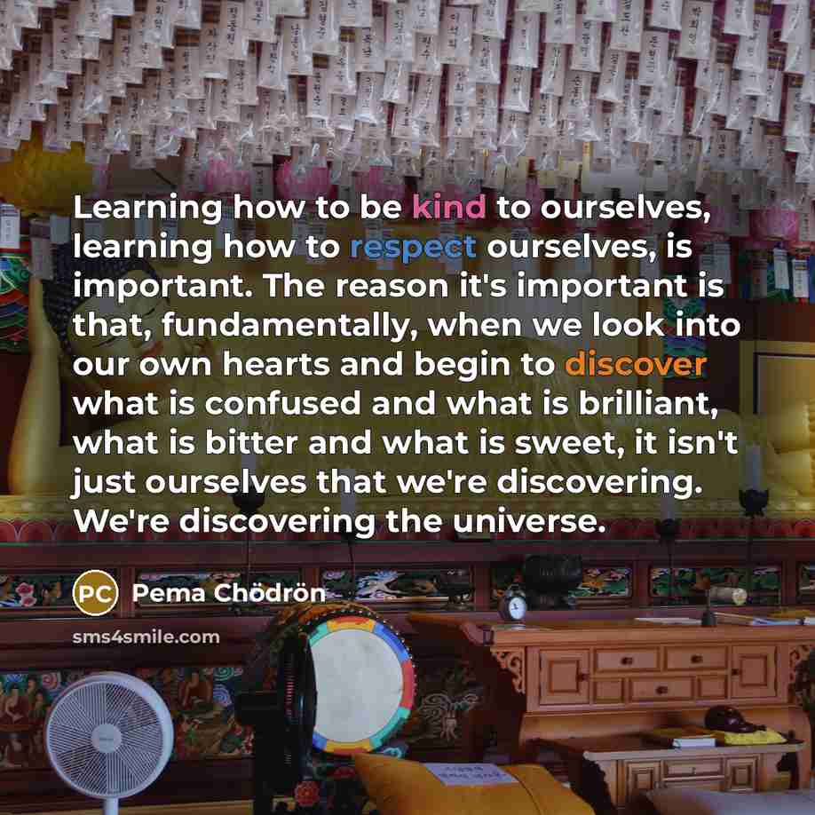 “Learning how to be kind to ourselves, learning how to…” quote by Pema Chodron